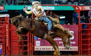 Festa do Peão de Barretos Festa Peão de Barretos Photo André Monteiro : Divulgação